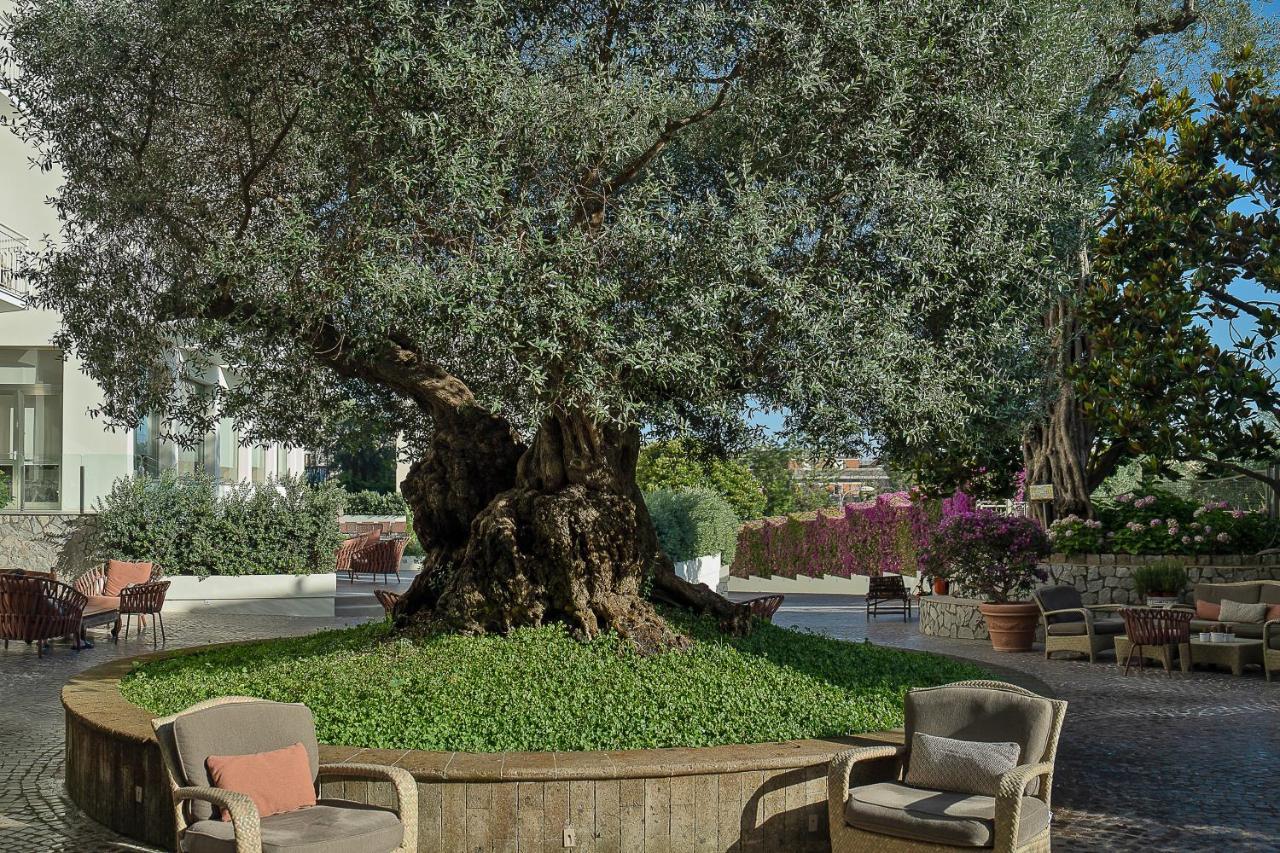 Hotel Conca Park Sorrento Exteriér fotografie